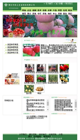 山東煙臺(tái)蘋(píng)果苗 山東煙臺(tái)蘋(píng)果苗